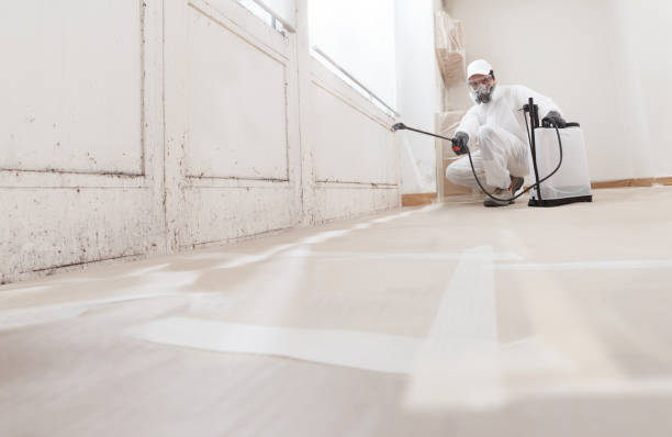 24/7 Emergency Basement Mold Remediation experts in Mineral Point, PA